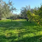 Campus *