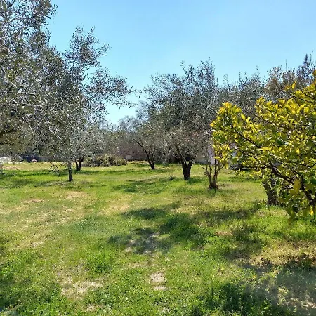 Campus Дом отдыха Eleftheres (Kavala)