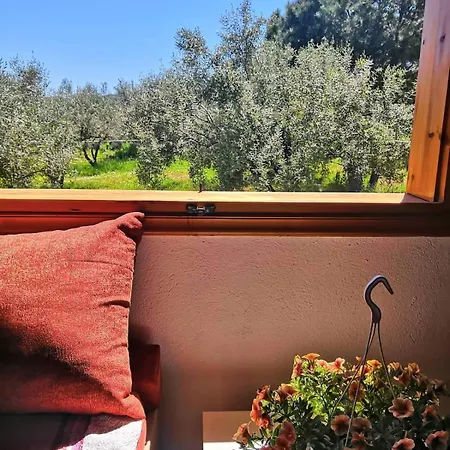 Campus Дом отдыха Eleftheres (Kavala)