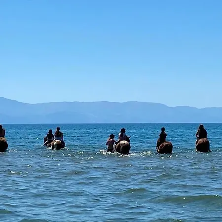 Дом отдыха Campus *