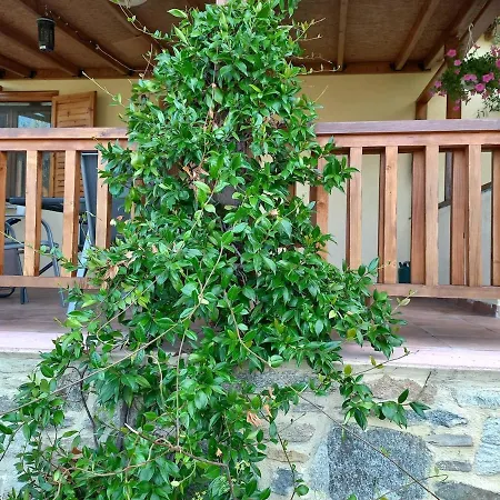 Campus Дом отдыха *