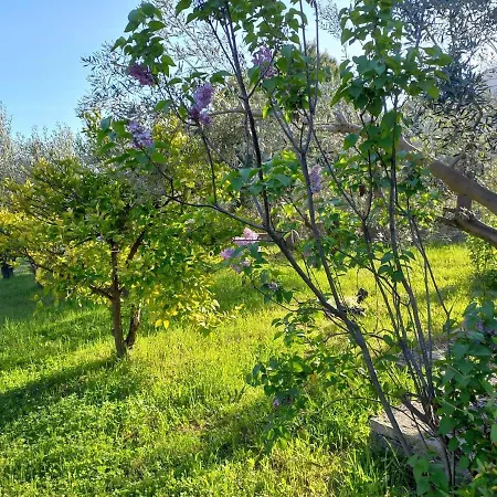 Campus Дом отдыха Eleftheres (Kavala)