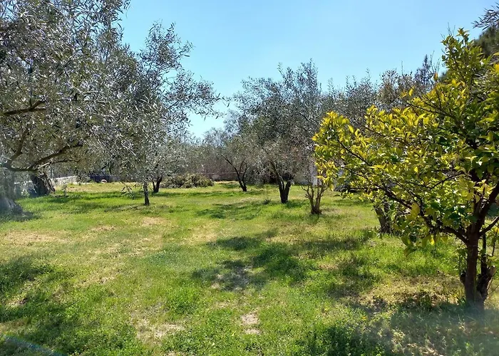 Campus 度假居 Elevtheraí