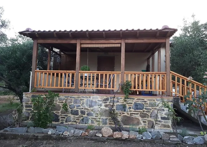 Campus * Elevtheraí