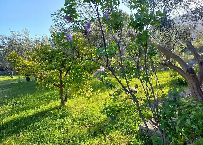 Campus 度假居 Elevtheraí